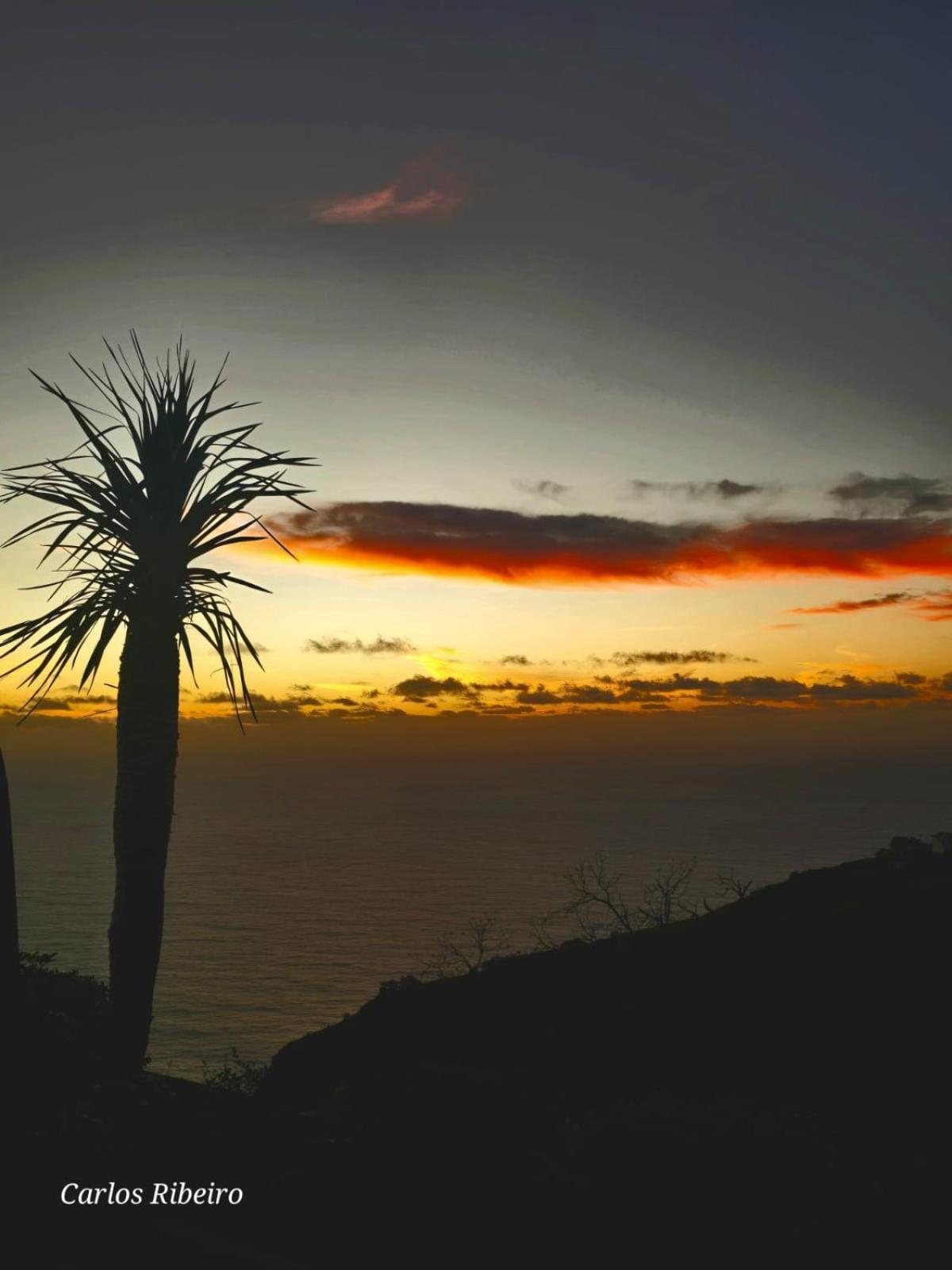 Sunset Refuge *
